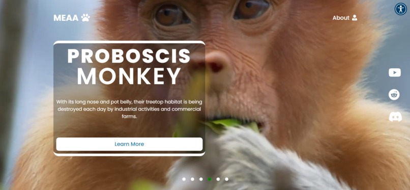MEAA - Malaysian Endangered Animal Awareness  – screenshot 13