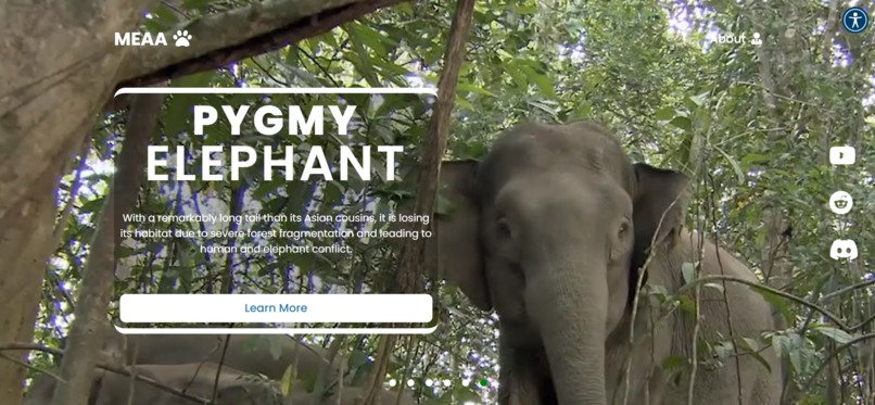MEAA - Malaysian Endangered Animal Awareness  – screenshot 17