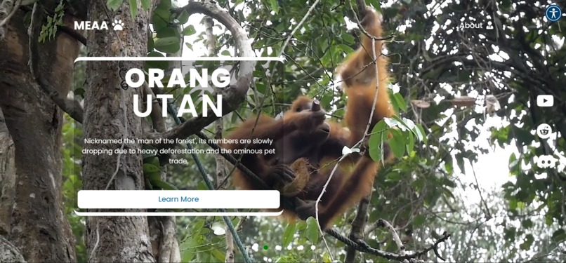 MEAA - Malaysian Endangered Animal Awareness  – screenshot 18