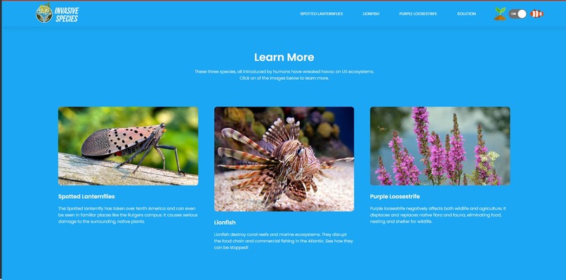 Invasive Species – screenshot 2