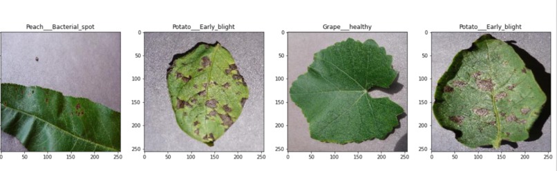 localFoods – screenshot 2