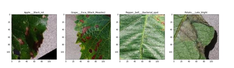 localFoods – screenshot 3