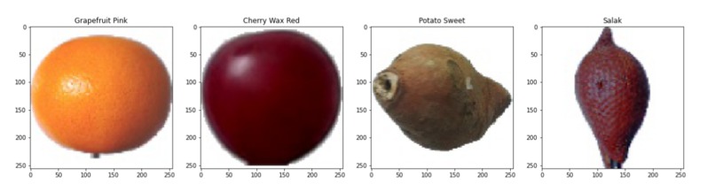 localFoods – screenshot 4