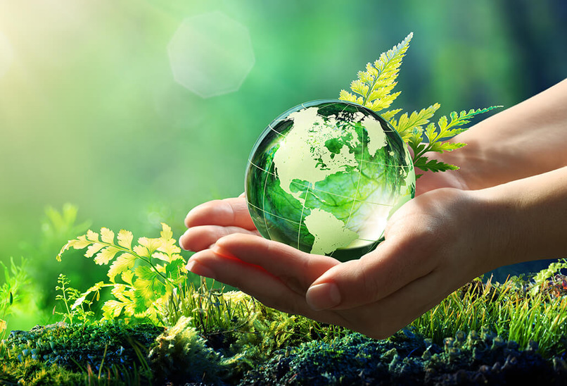 sustainability: We Can Help! – screenshot 1