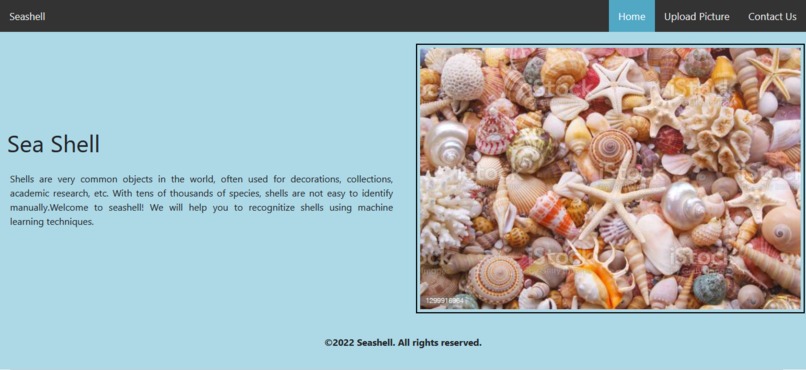 Machine-Learning-Seashell-Classifier-Website – screenshot 1