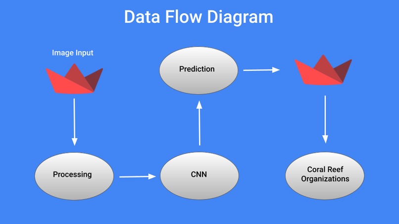 Corally – screenshot 4