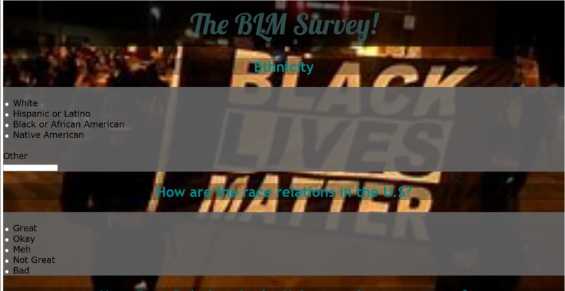 BLM Survey – screenshot 1