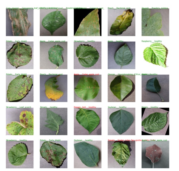 localFoods – screenshot 6