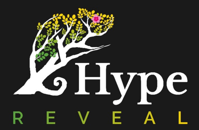 HypeReveal - Long-term NFT and crypto analytics – screenshot 1