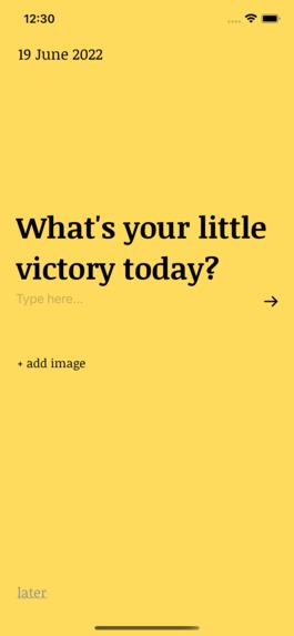 Little Victories – screenshot 2