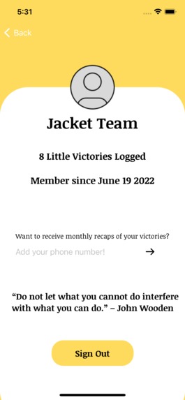 Little Victories – screenshot 6