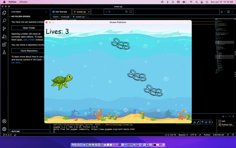 Save the Turtles – screenshot 1