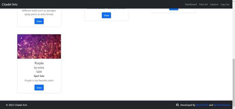 Citadel Arts – screenshot 10