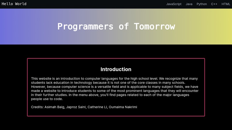 Programmers of Tomorrow – screenshot 1