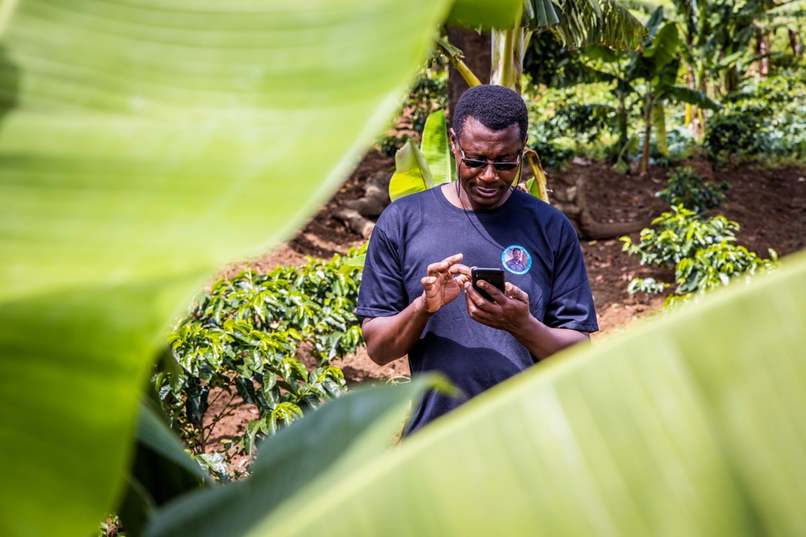 Open  Free Dollar (OFD) – screenshot 7