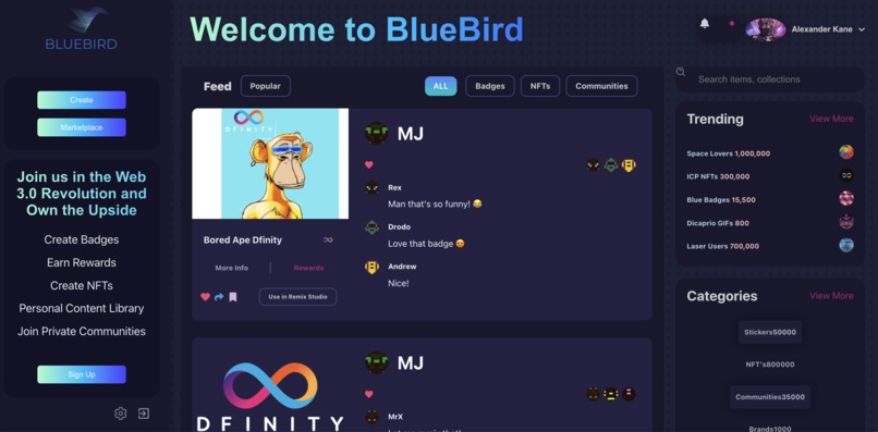 BlueBird – screenshot 1