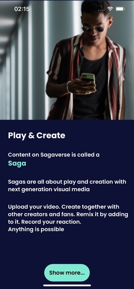 Saga-Poa – screenshot 4