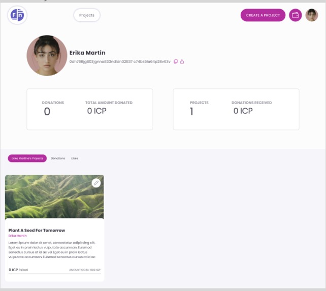 Fundnation – screenshot 2