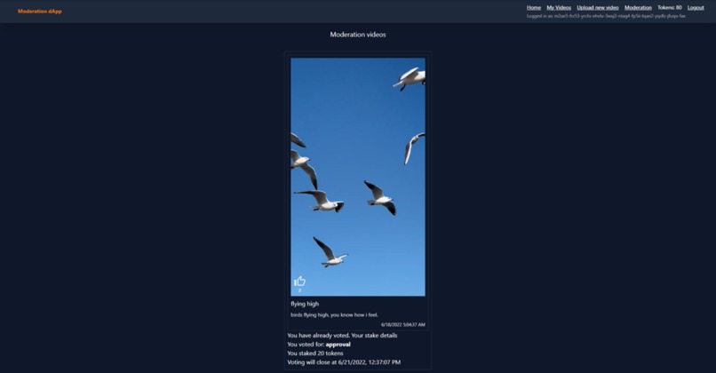 GoBazzinga - Content Moderation – screenshot 4