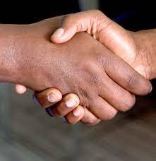 Open  Free Dollar (OFD) – screenshot 9