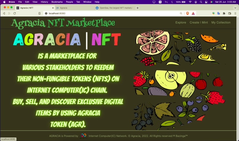 AGRACIA – screenshot 6
