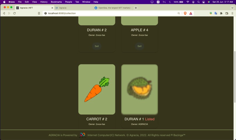 AGRACIA – screenshot 11
