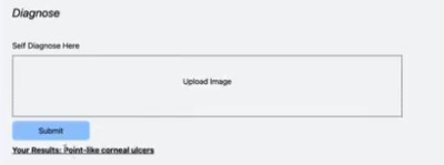 Horus Eye Detection – screenshot 2