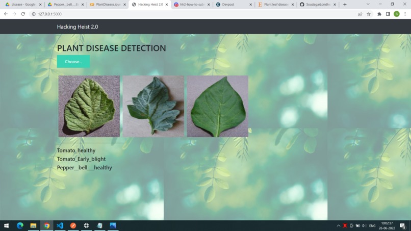 Plant Disease Detection – screenshot 2
