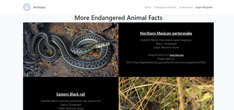 Animalia – screenshot 2