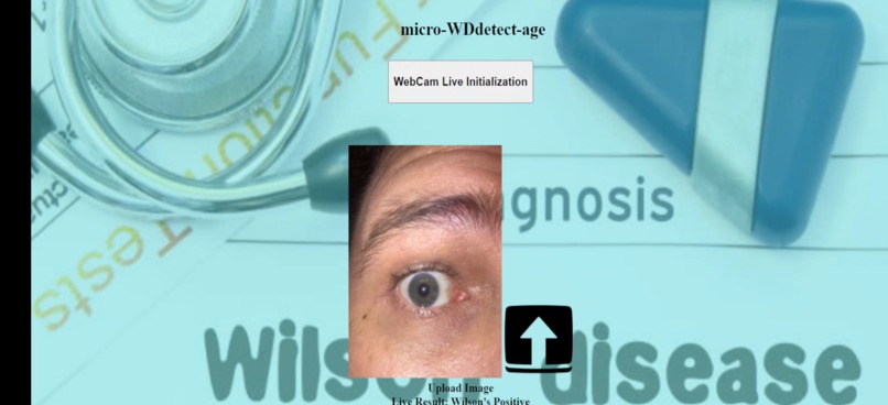micro-MediDetect-age – screenshot 10
