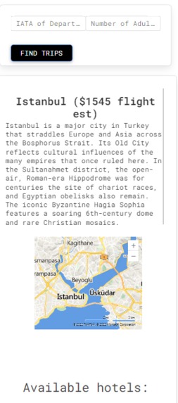 TransTravel – screenshot 2