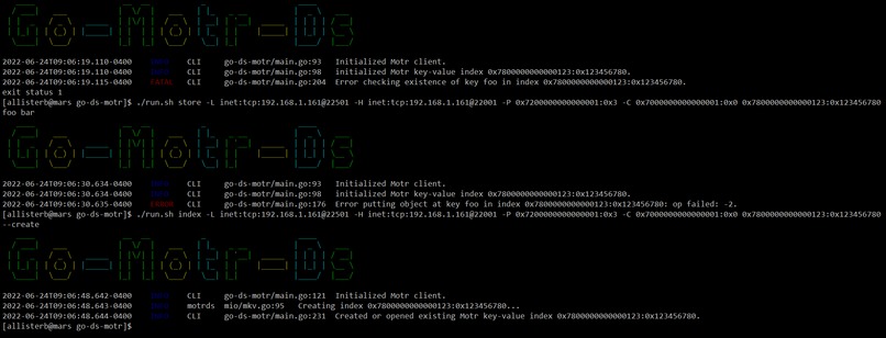 go-ds-motr – screenshot 3