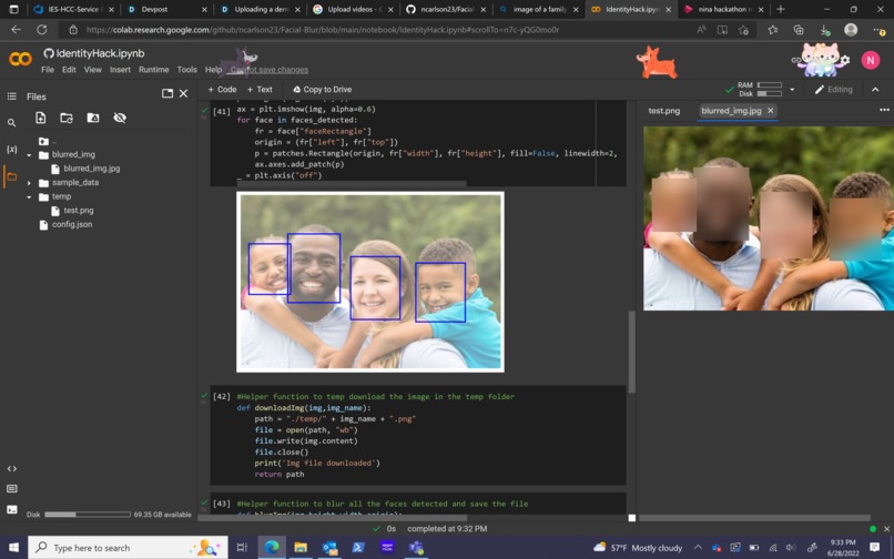 Face Blurring – screenshot 1