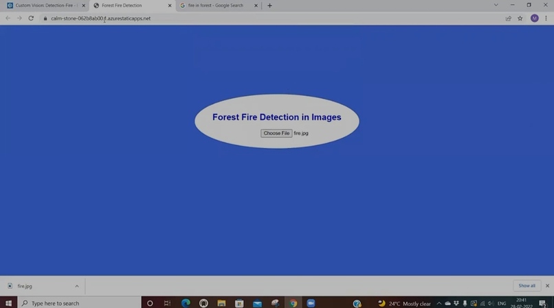 Forest Fire Detection – screenshot 1