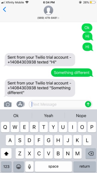 Twilio Chat Bot – screenshot 1