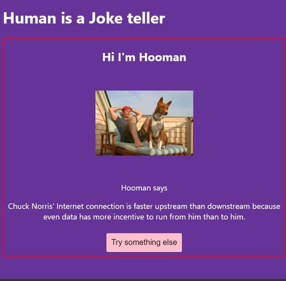 Hooman Jokes – screenshot 1