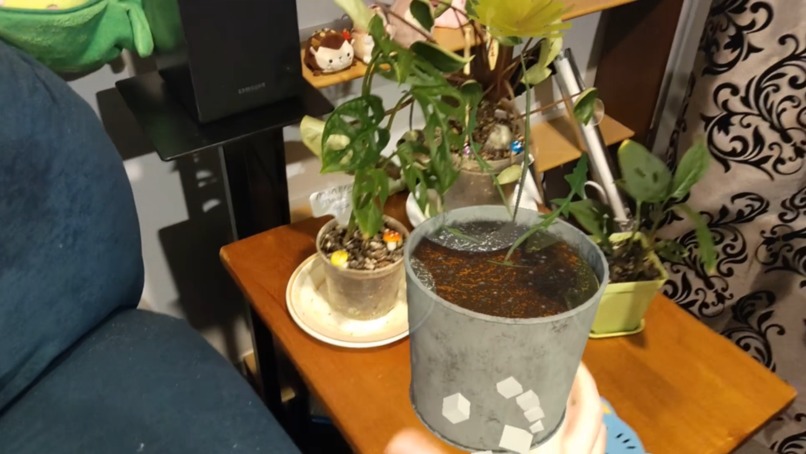 In Its Place – screenshot 5