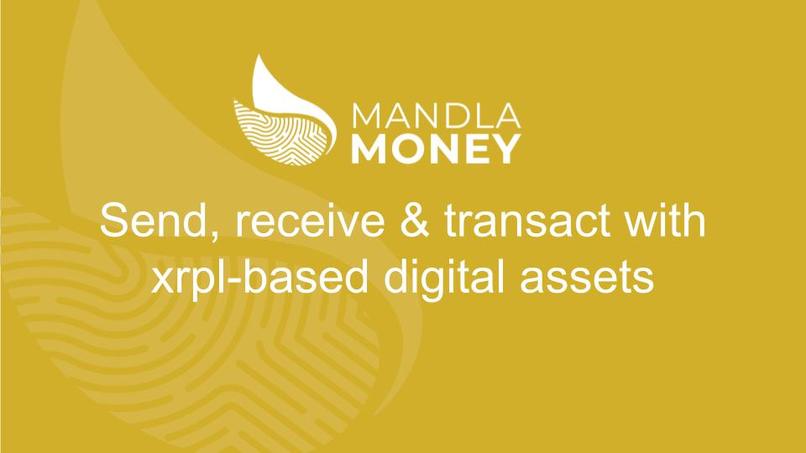 Mandla Money SMS Wallet – screenshot 1