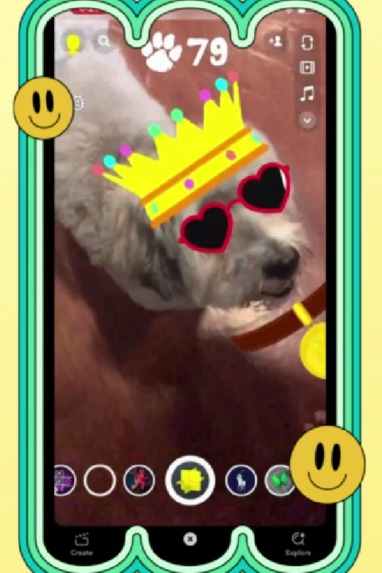 Pet Treasure Hunt Game – screenshot 1