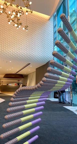 SnapMath – screenshot 6