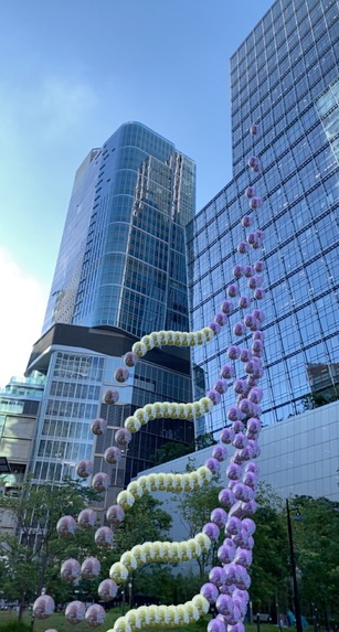 SnapMath – screenshot 7