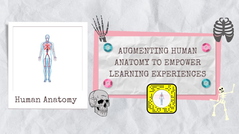 Human Anatomy  – screenshot 1