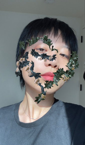 AR Filter - The Compendium of Materia Medica – screenshot 1