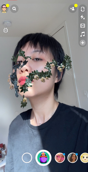 AR Filter - The Compendium of Materia Medica – screenshot 2