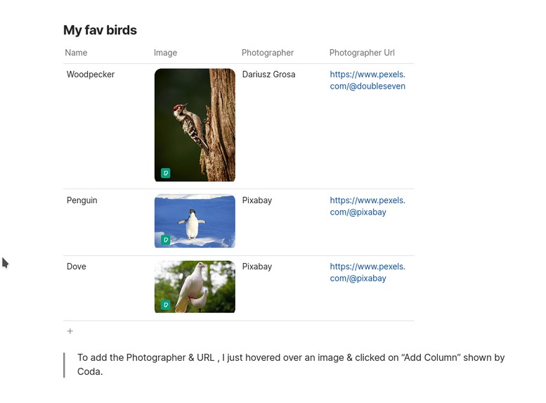 Pexels Pack – screenshot 4