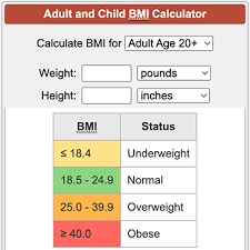A SIMPLE bmi calulator – screenshot 1