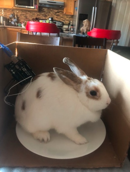 Nibble – screenshot 4