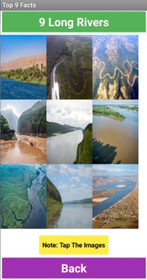 Top 9 Facts – screenshot 5
