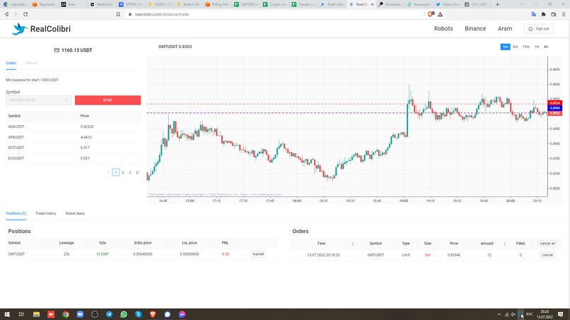RealColibri – screenshot 3
