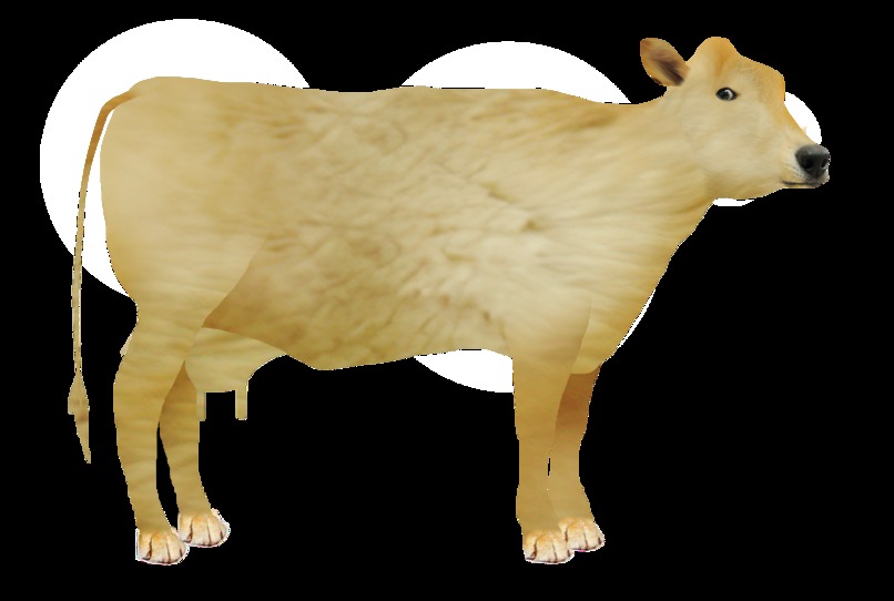 OmniCowSwap – screenshot 2